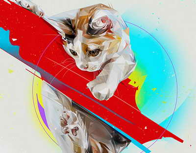 Пешвои миллат Эмомалӣ Раҳмон ба таври фосилавӣ Маркази савдо ва хизматрасонии “Раҳимӣ” дар деҳоти Хистеварз ва корхонаи парандапарварӣ дар деҳоти Исфисорро ифтитоҳ намуданд