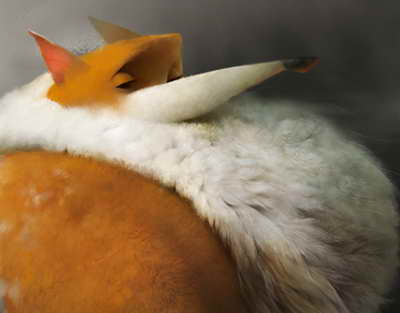 В Україні оновлено правила дорожнього руху